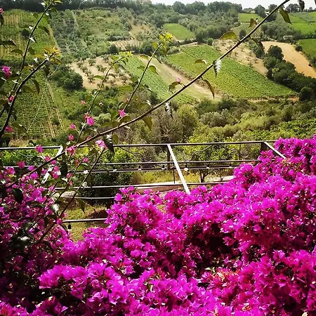 La Casa Di Stefania Loft Pollutri