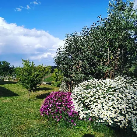 La Casa Di Stefania Loft * Pollutri