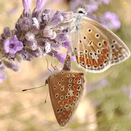 La Casa Di Stefania Loft Дом отдыха