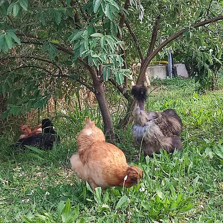 La Casa Di Stefania Loft Дом отдыха *