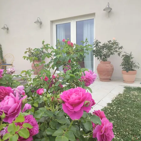 La Casa Di Stefania Loft Tatil Evi *