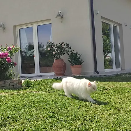 La Casa Di Stefania Loft Дом отдыха