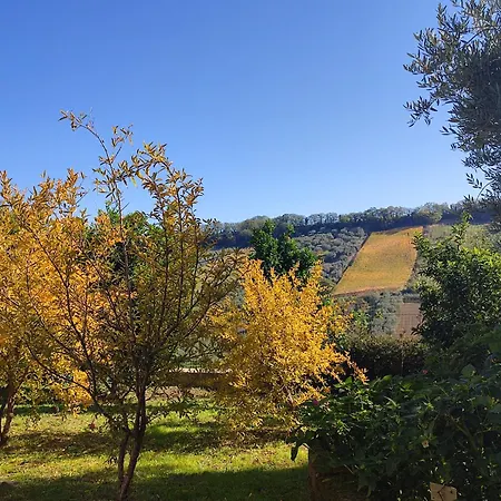 La Casa Di Stefania Loft Дом отдыха