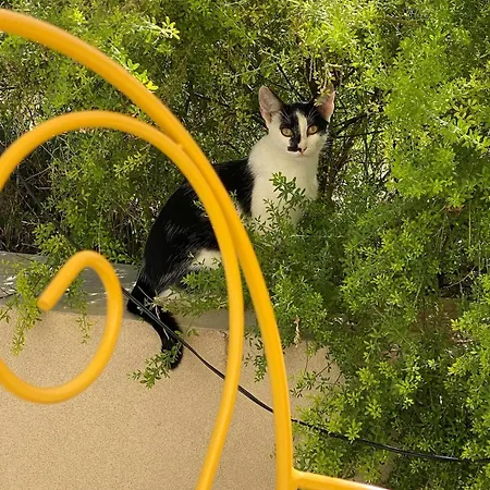 Дом отдыха La Casa Di Stefania Loft