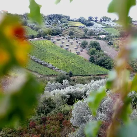 Дом отдыха La Casa Di Stefania Loft Pollutri