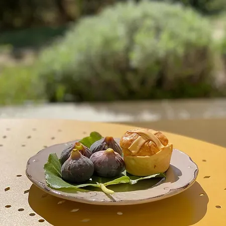 La Casa Di Stefania Loft Semesterbostad Pollutri