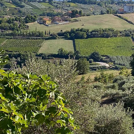 La Casa Di Stefania Loft Pollutri