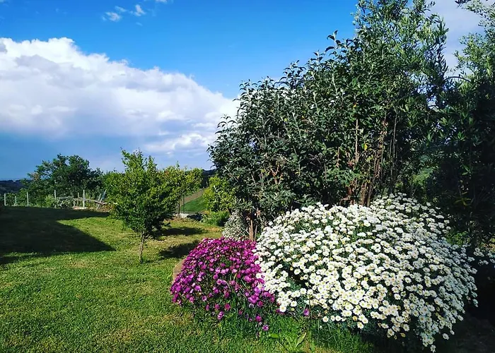 La Casa Di Stefania Loft * Pollutri
