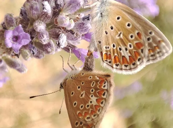 La Casa Di Stefania Loft Prázdninový dům