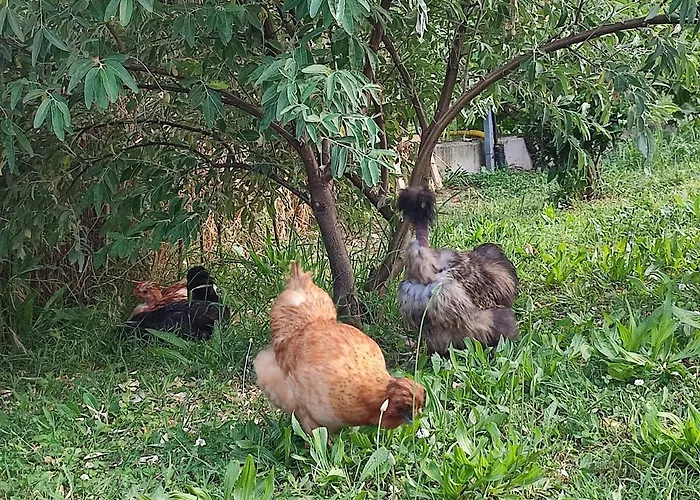 La Casa Di Stefania Loft Сasa de vacaciones *