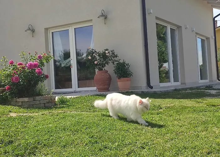 La Casa Di Stefania Loft Сasa de vacaciones