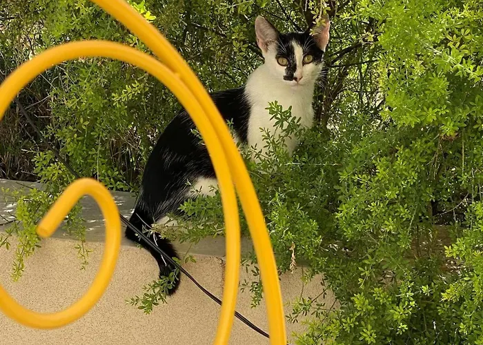 Prázdninový dům La Casa Di Stefania Loft