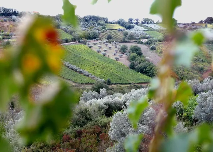 Сasa de vacaciones La Casa Di Stefania Loft Pollutri