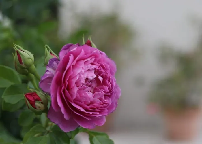 La Casa Di Stefania Loft Prázdninový dům *